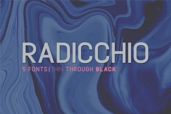 How Radicchio Font Can Elevate Your Brand’s Professional Look